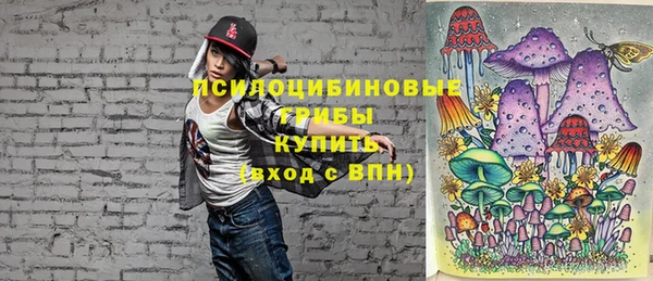 винт Баксан