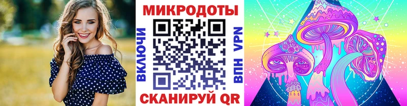 где найти   Конаково  Псилоцибиновые грибы Cubensis 